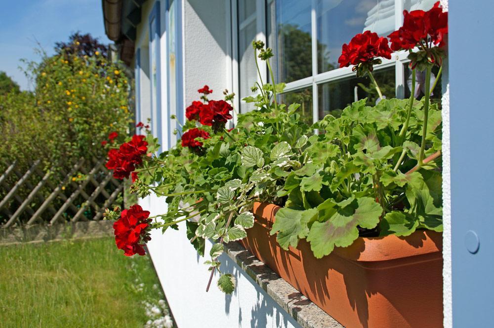 Ferienwohnanlage Bruckner Apartamento Rostock Exterior foto